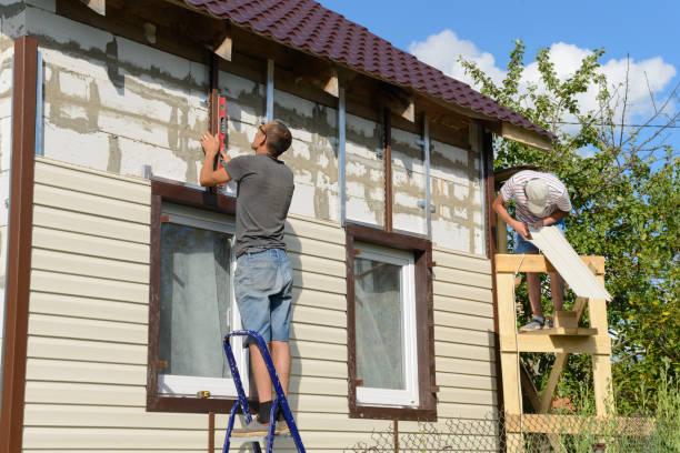 Best Stone Veneer Siding  in Plainview, TN